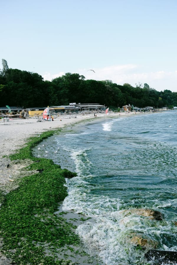 Black Sea Coast