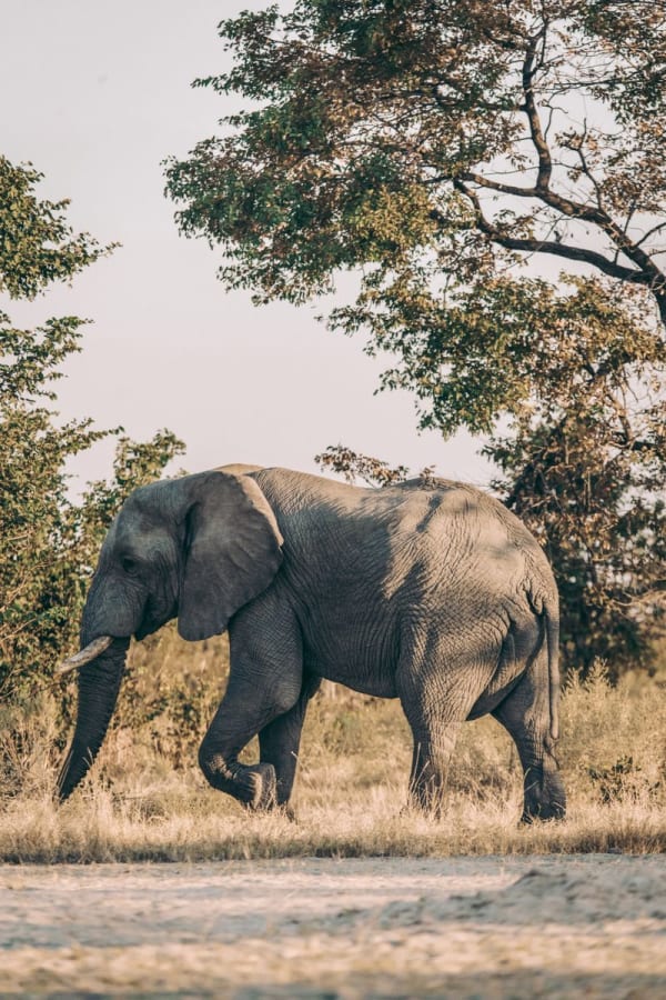 Botswana
