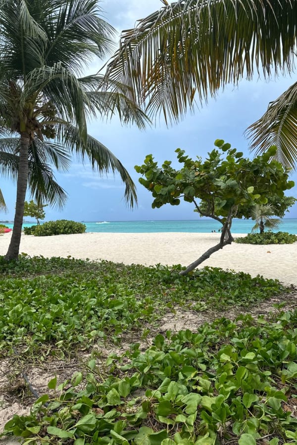 Cayman Islands