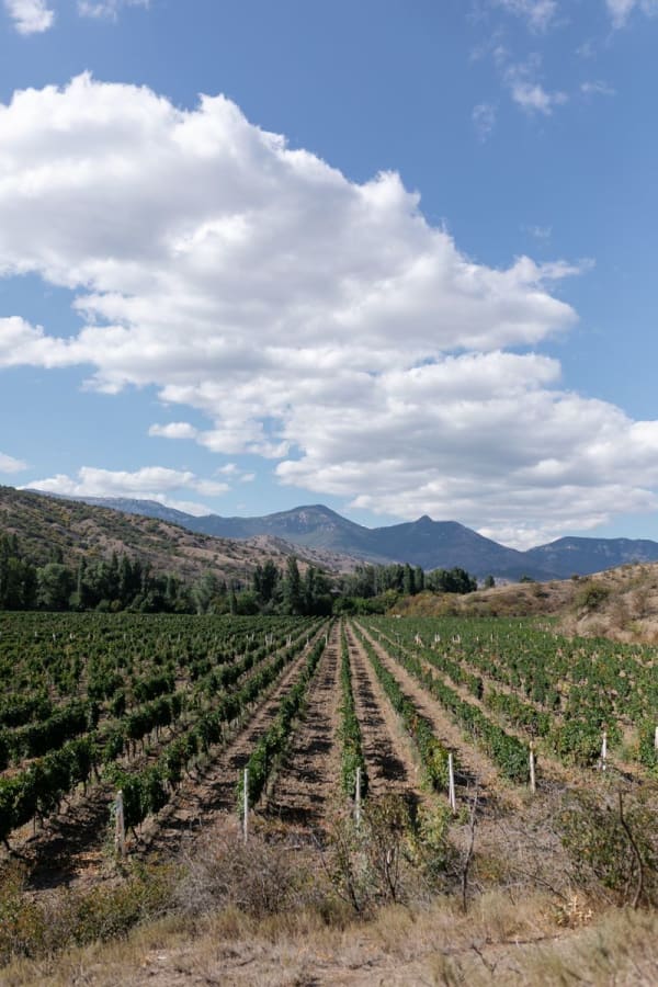 Central Valley Chile