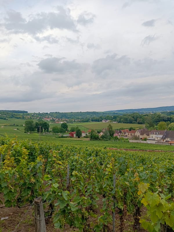 Champagne Region