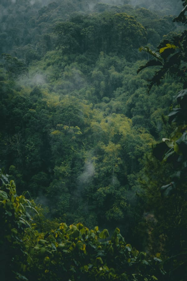 Republic of the Congo