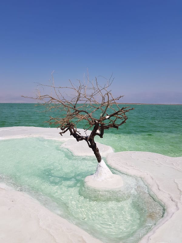 Dead Sea