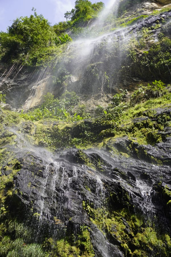 Dominica