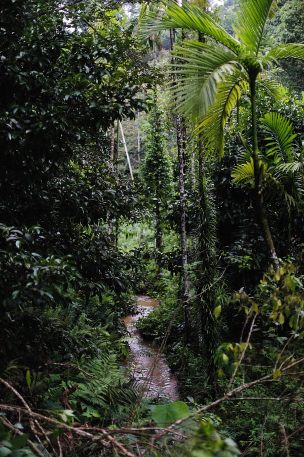 Gabon