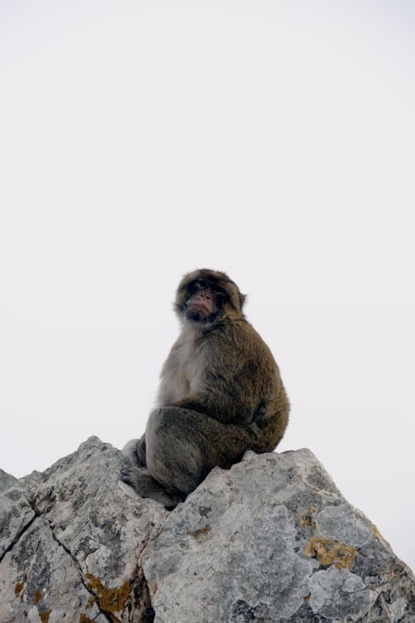 Gibraltar