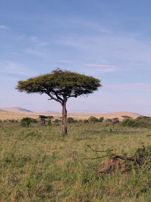 Kenya