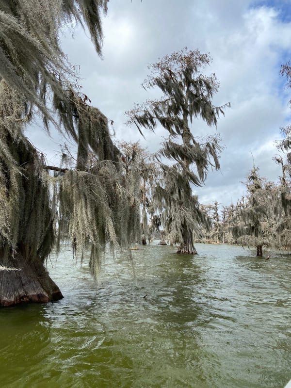 Louisiana