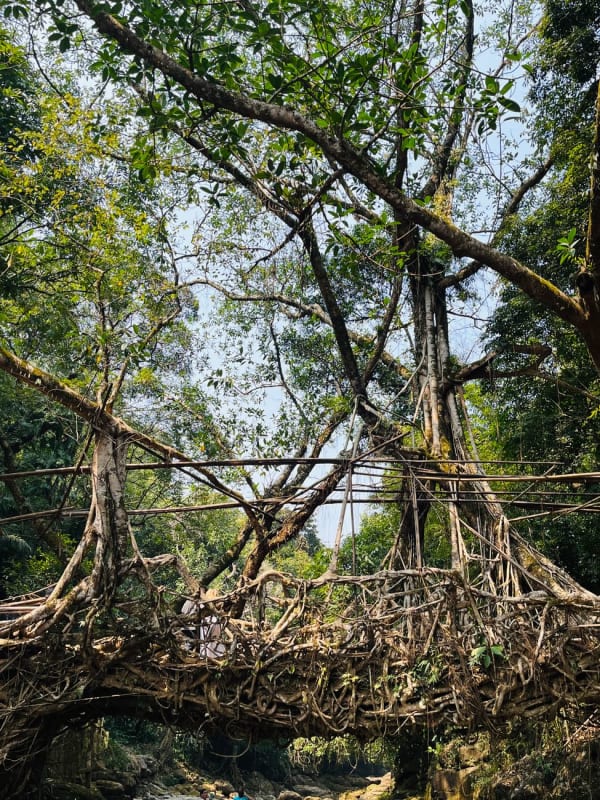 Meghalaya