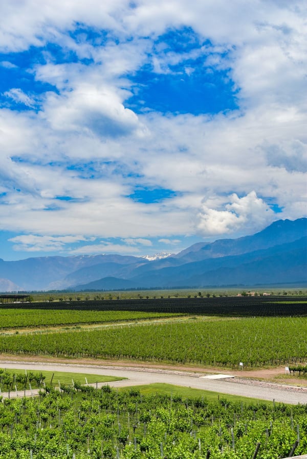Mendoza Wine Country