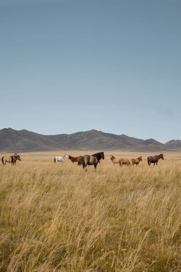 Mongolia
