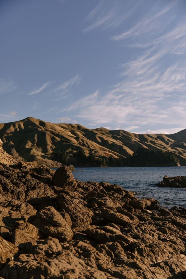 New Zealand