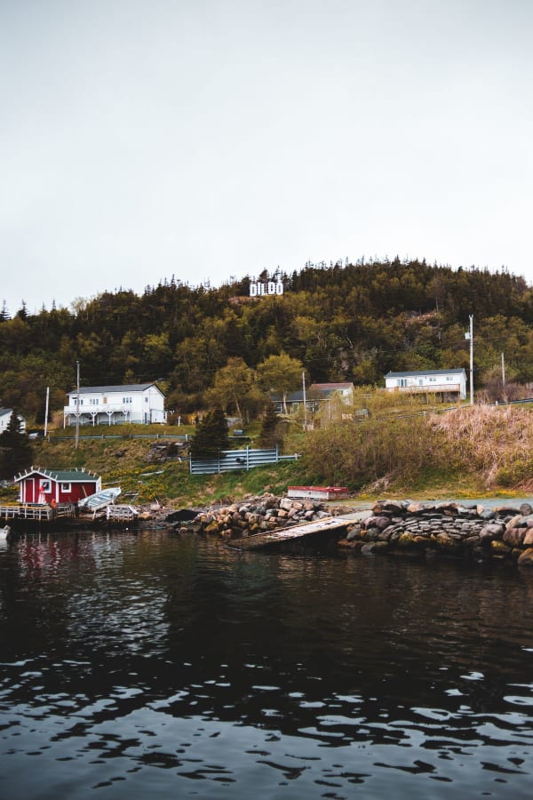 Newfoundland