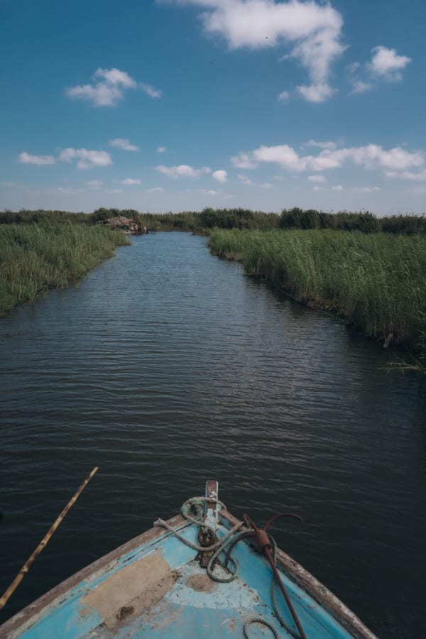 Nile Delta