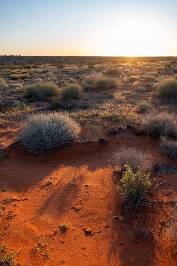 The Outback