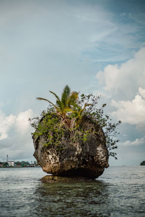 Papua New Guinea