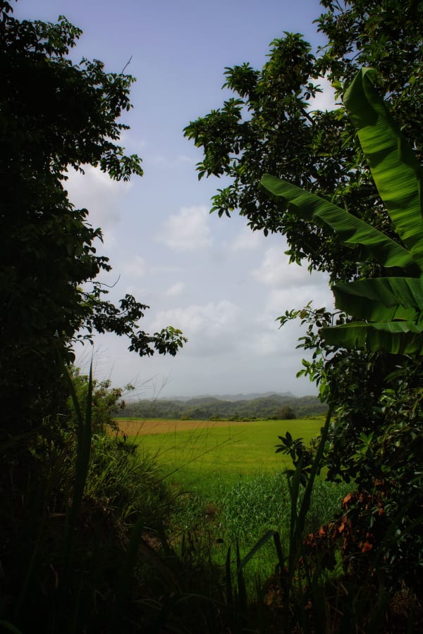 Puerto Rico