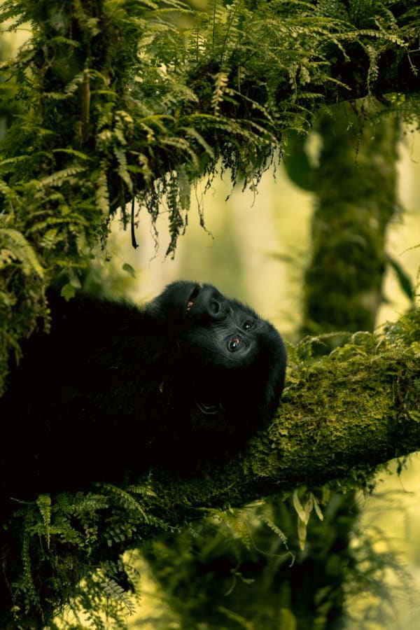 Rwanda