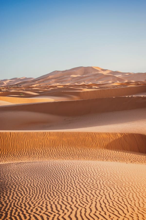Sahara Desert