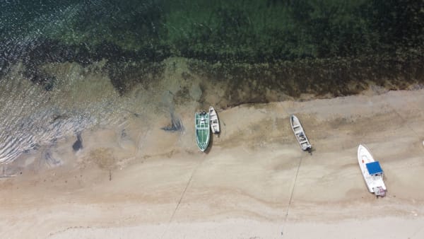 Swahili Coast