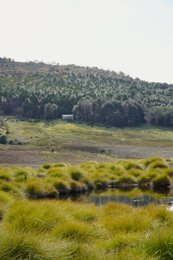 Tasmania