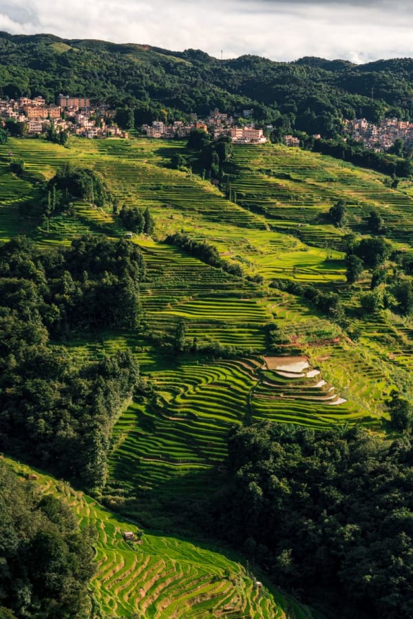 Yunnan