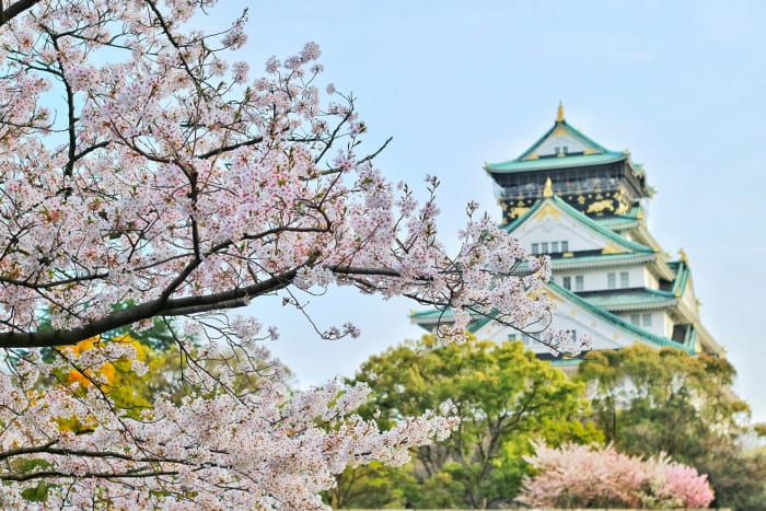 Japan in 20 Days — Tokyo, Fuji, Kyoto & Osaka for Couples