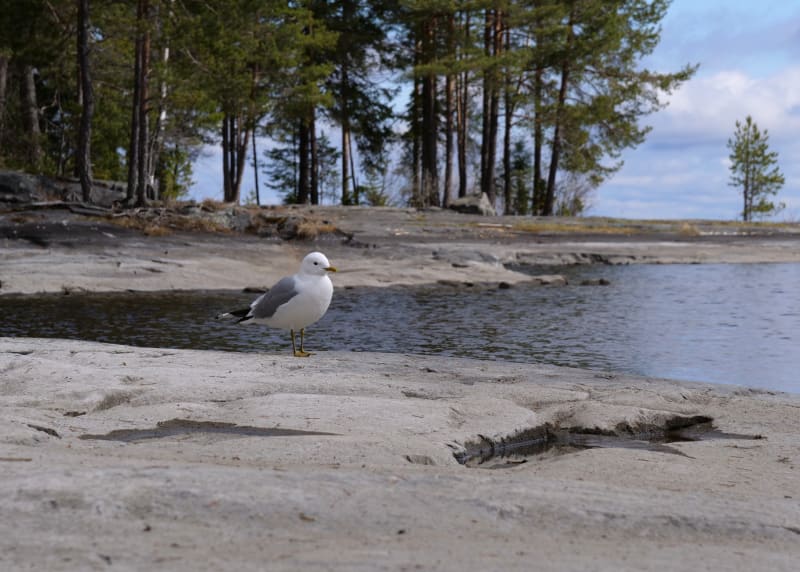Föglö