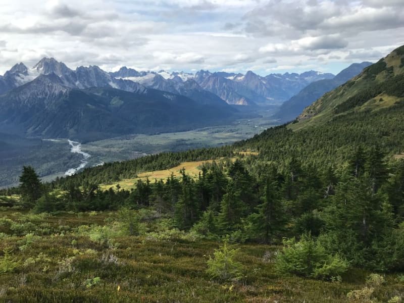 Haines