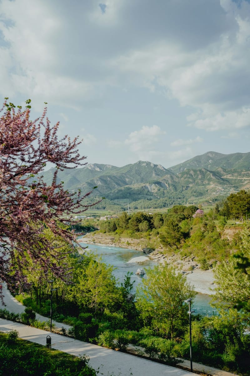 Krujë