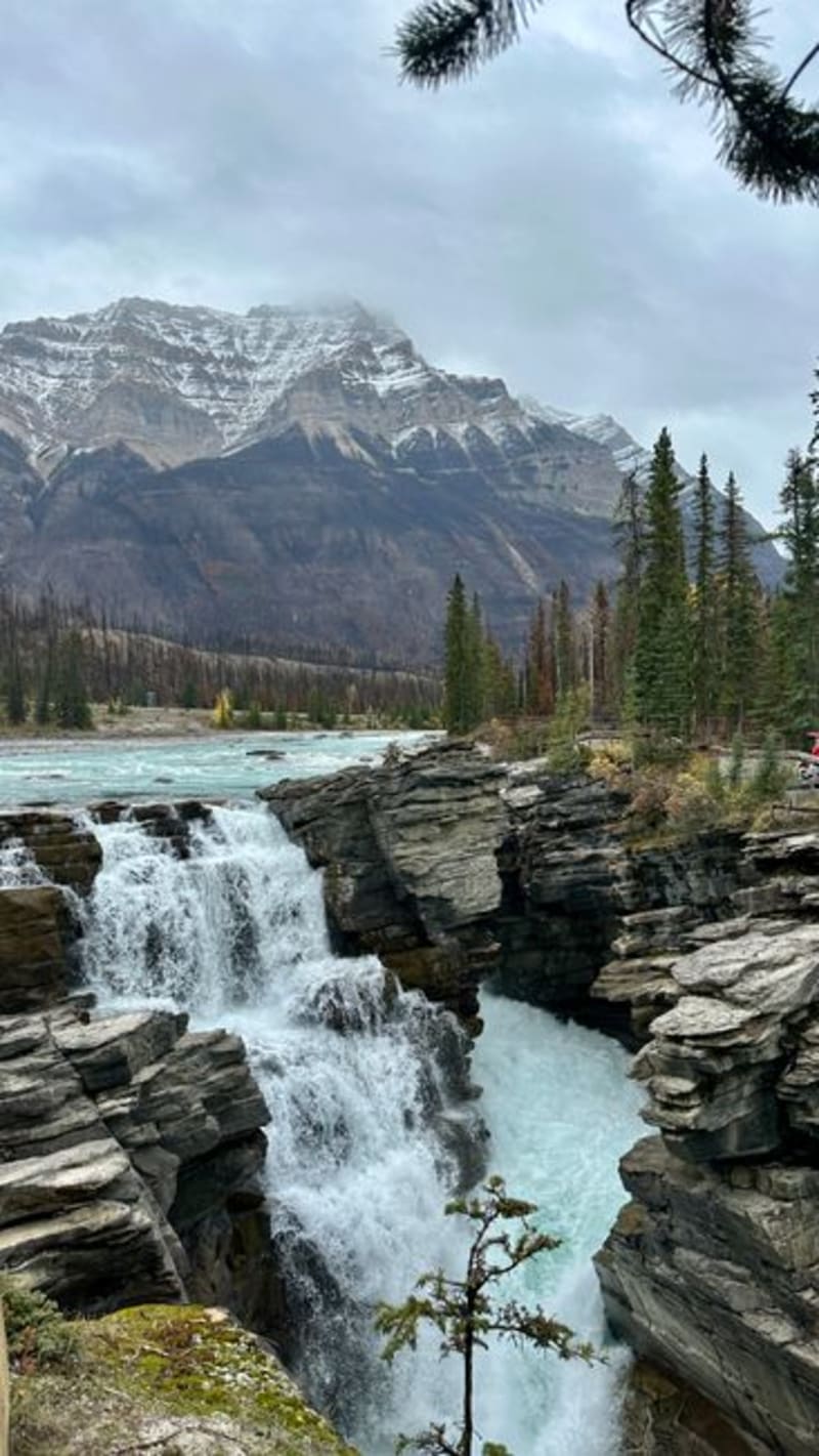 Cataratas Athabasca