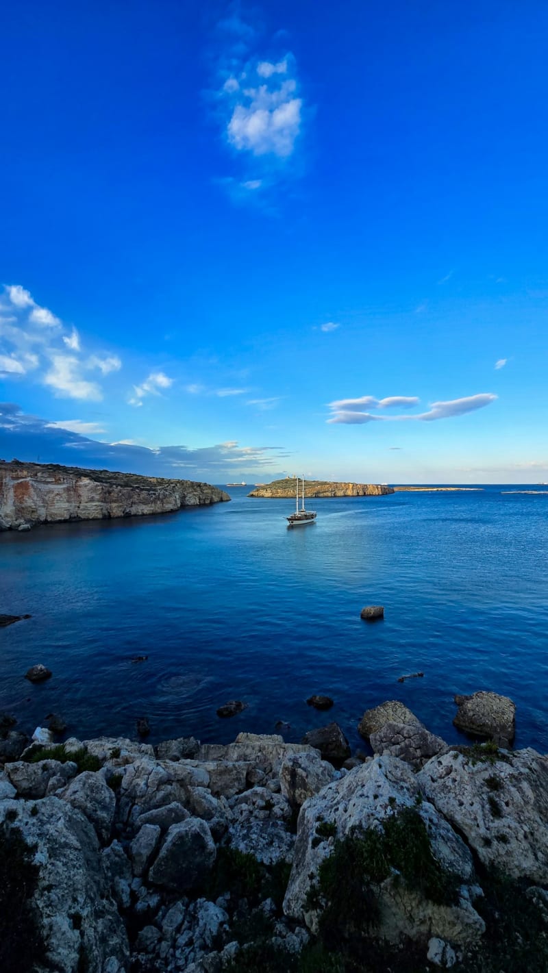 Tipaza