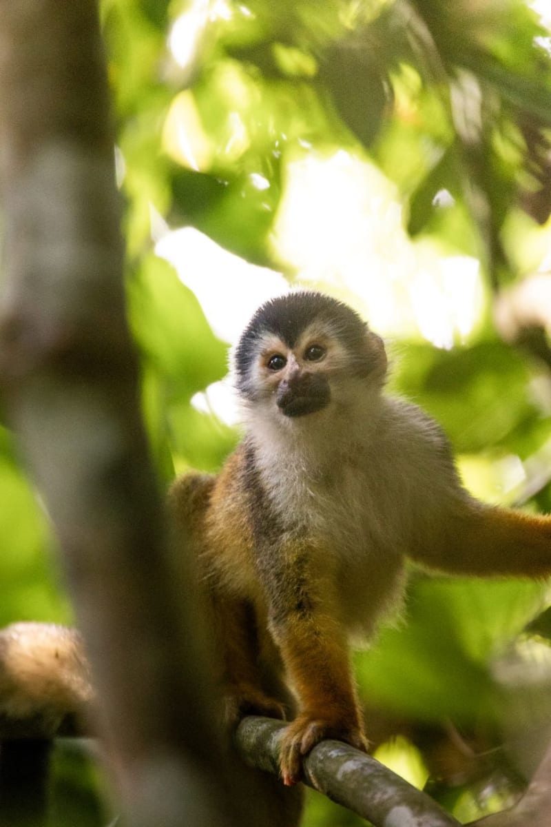 Parque Nacional Madidi