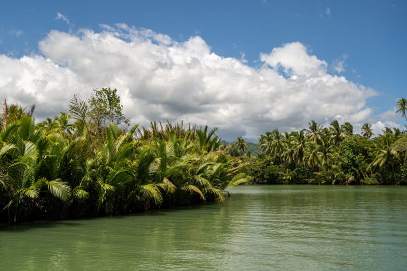 Codrington Lagoon