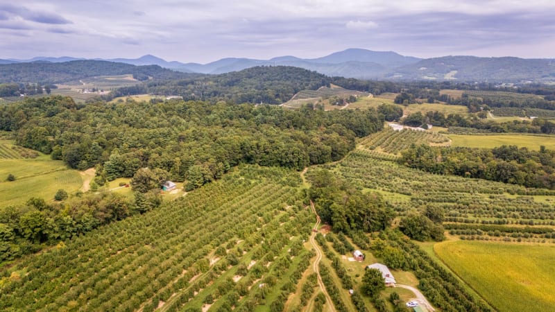 Asheville