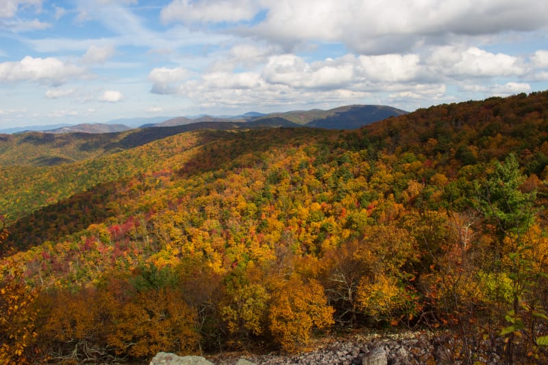 Shenandoah