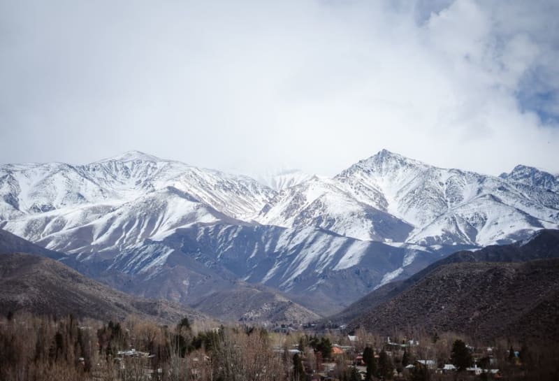 Potrerillos