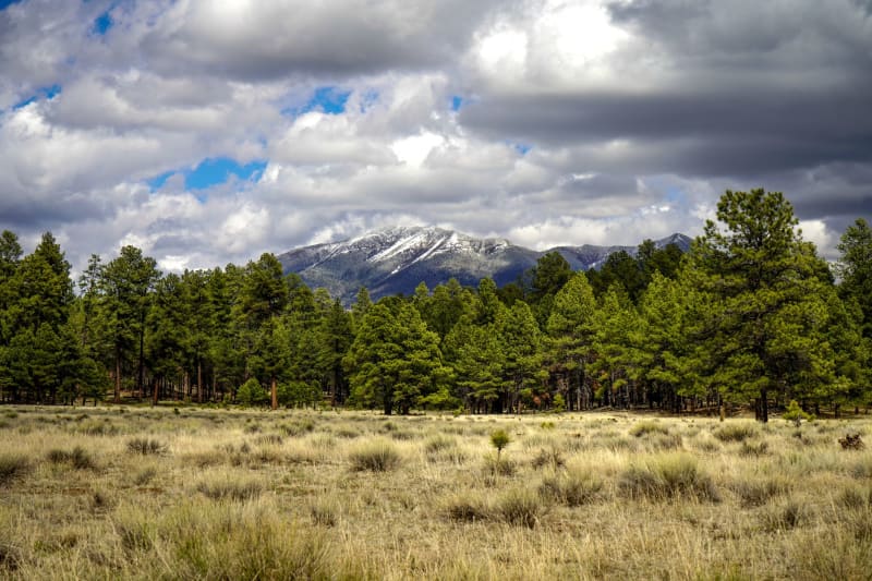 Flagstaff