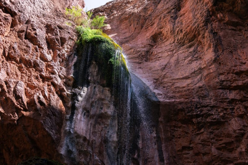 Havasupai