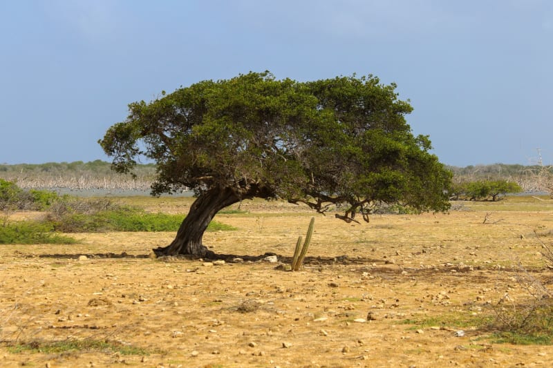 Parque Nacional Arikok