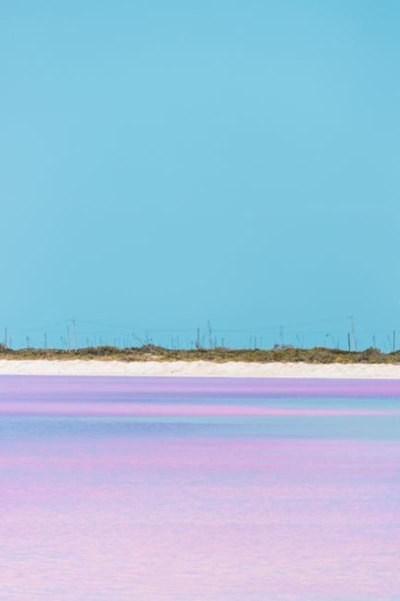 Laguna Cejar