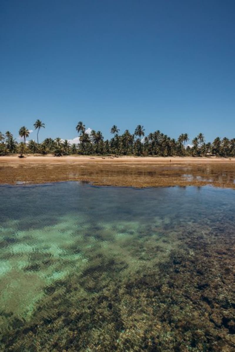 Ilha de Itaparica