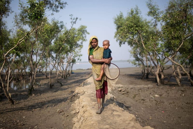 Sundarbans