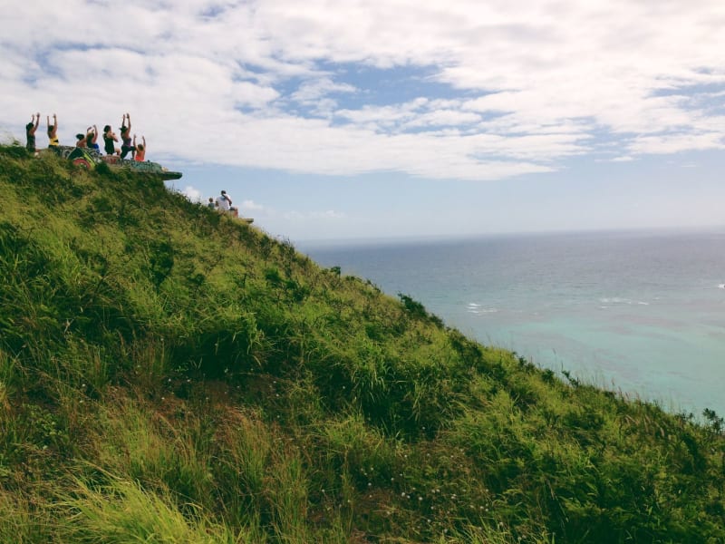 Cherry Tree Hill
