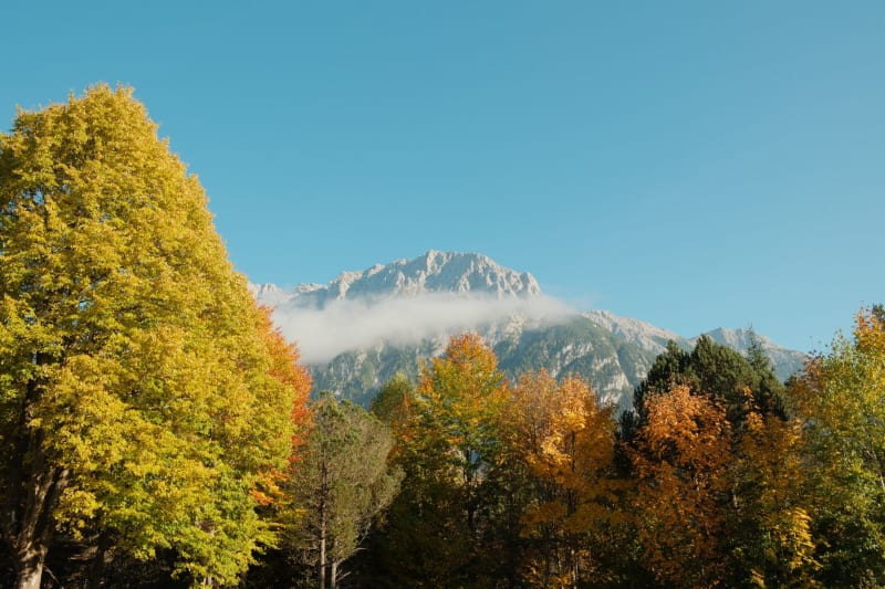Mittenwald