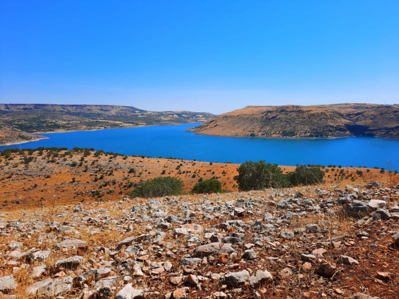 Lago Qaraoun