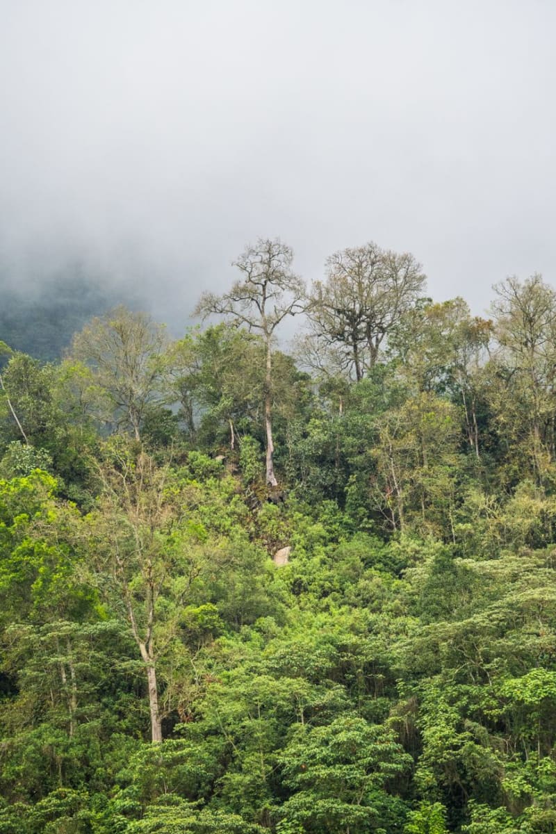 San Ignacio Belize