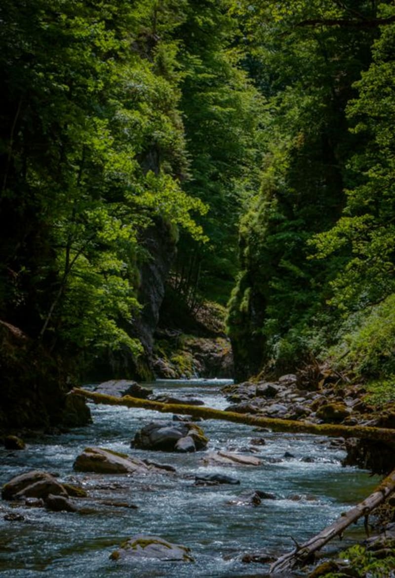 Wutachschlucht (Gorges de la Wutach)