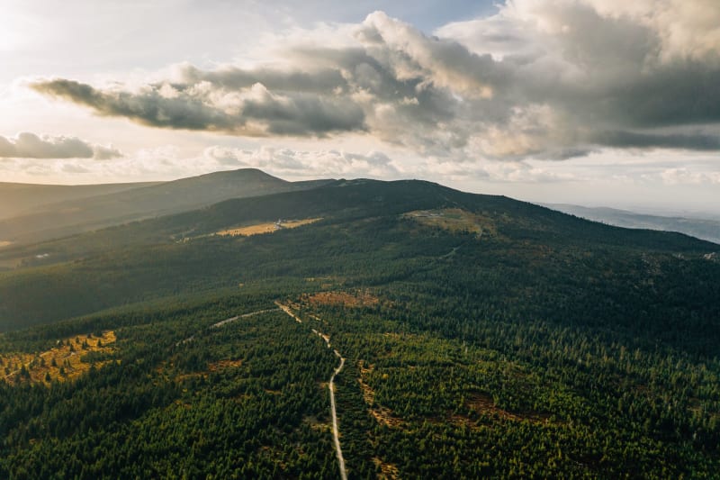 Šumava