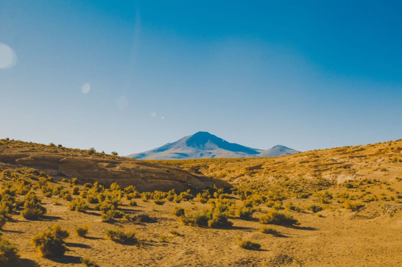 Sajama National Park